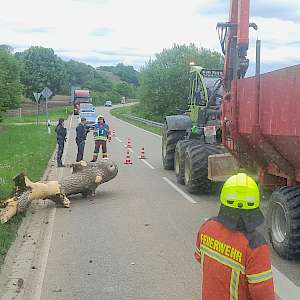 Einsatz 05/25 - Baum auf Straße