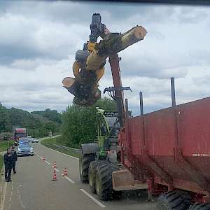 Einsatz 05/25 - Baum auf Straße