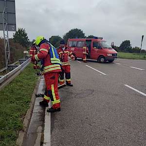 Einsatz 17/25 - BR 2 PKW