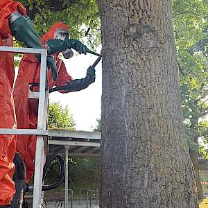 Einsatz 20/16 - TH 1 Kleineinsatz