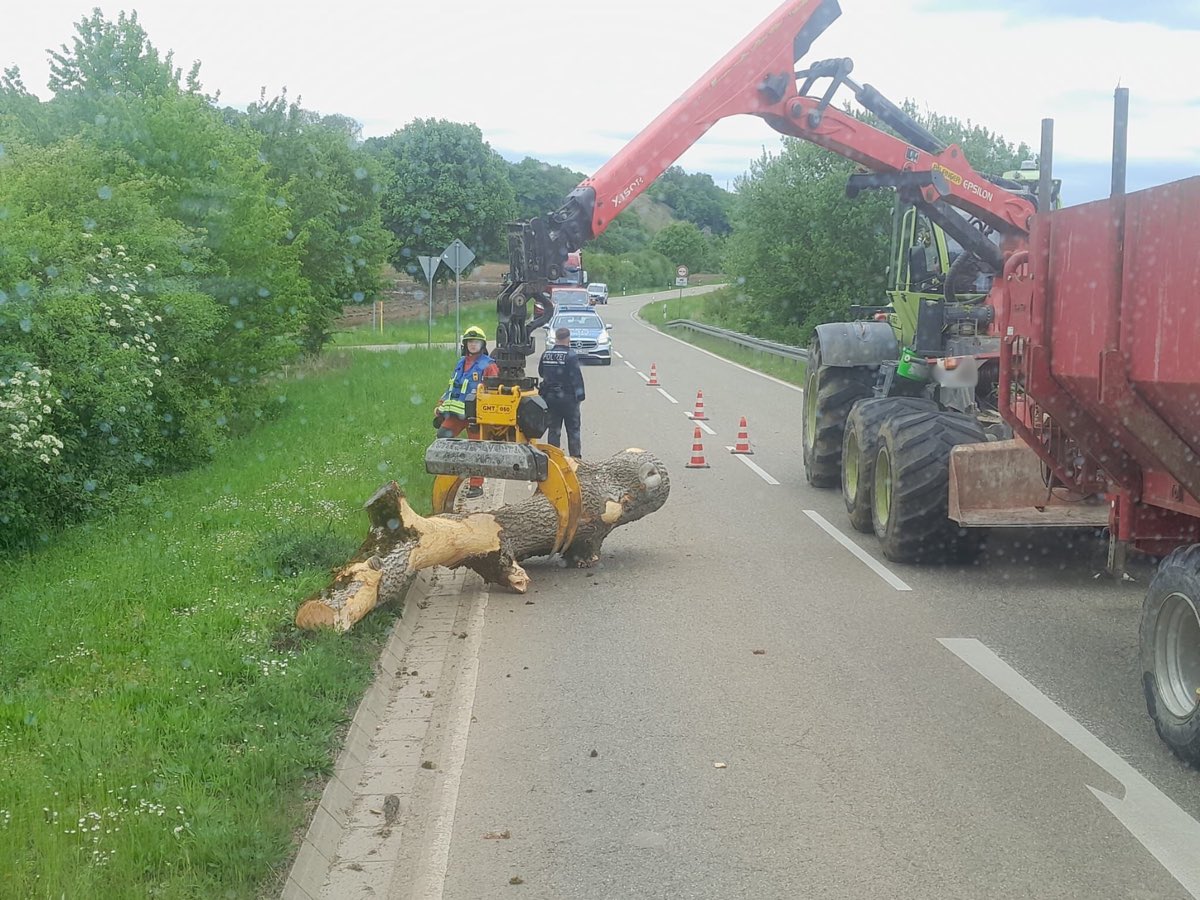 Einsatz 05/25 - Baum auf Straße